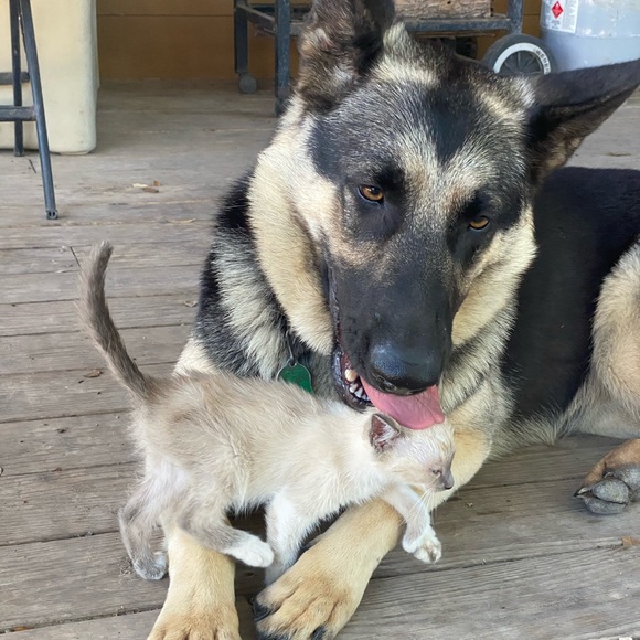 Meet your Posher, Edna - Picture 11 of 15